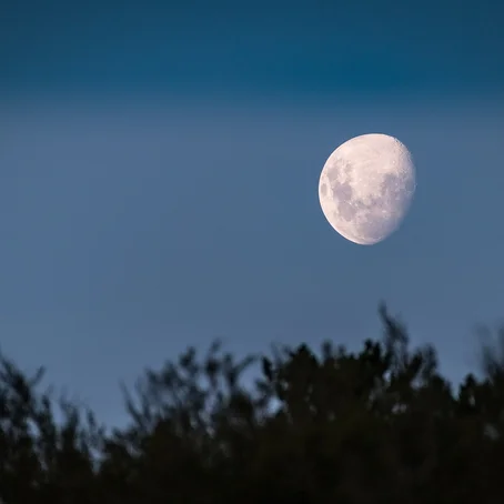 Maan boven de horizon